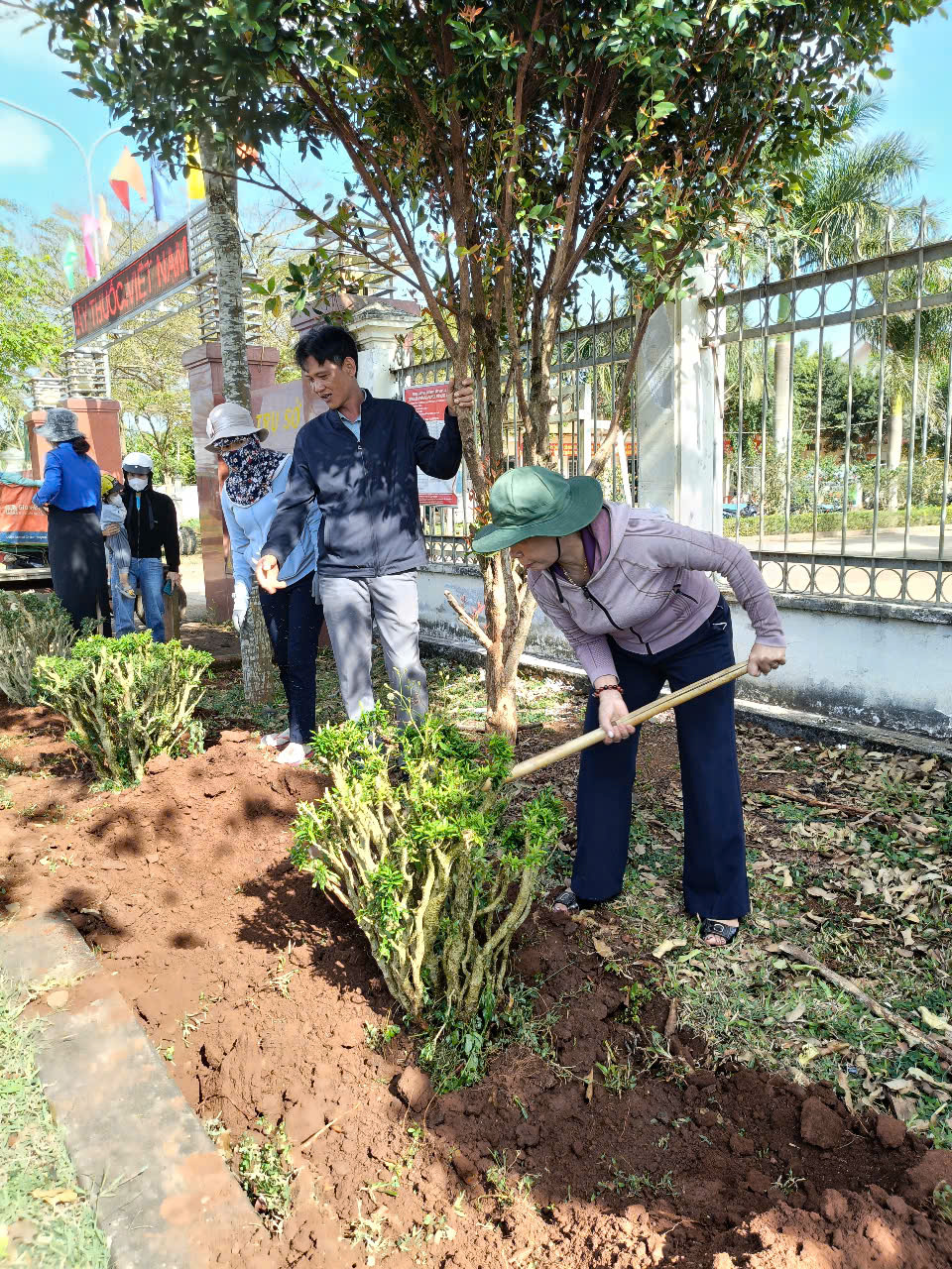 Trồng cây 2